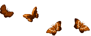 0_7b0c9_b4baf08e_L (300x120, 35Kb)